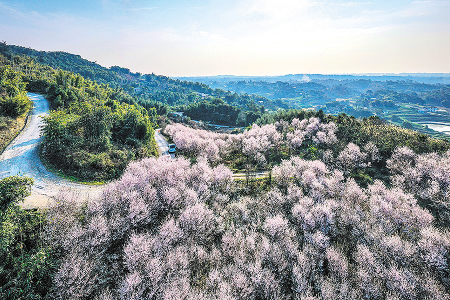 花果山村.jpg