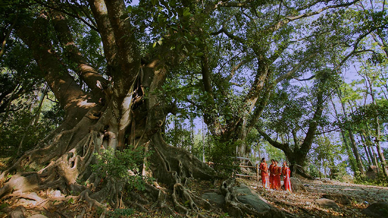 保山高黎貢山山地徒步旅游景點(diǎn).jpg