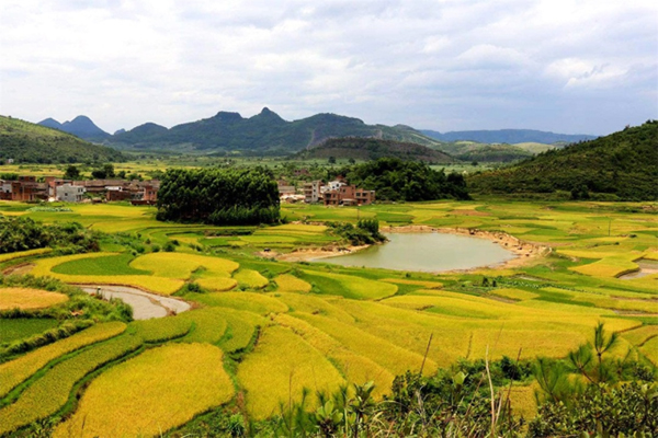 鄉(xiāng)村旅游2.jpg