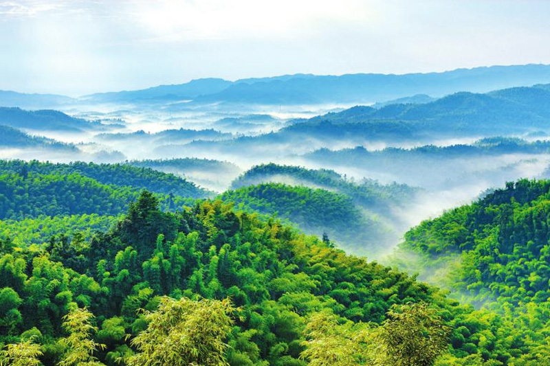 蜀南竹海美景(曾朗攝).jpg