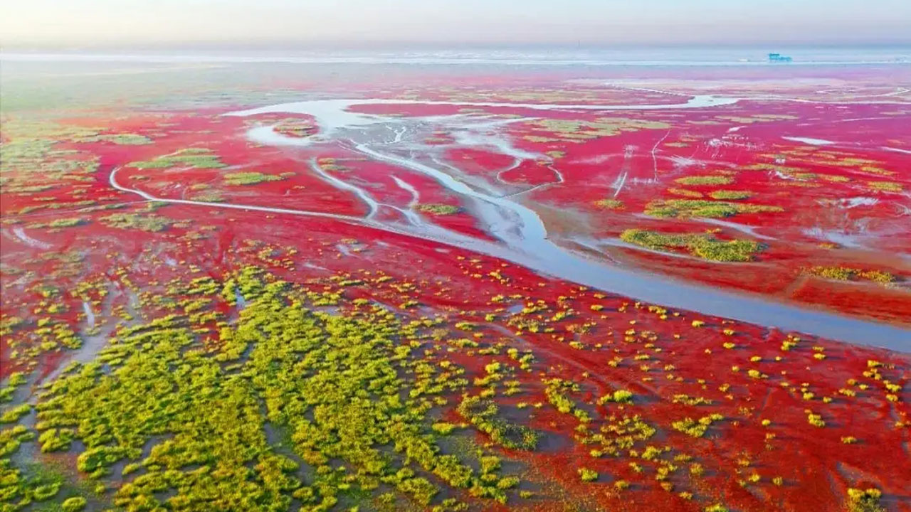 黃河三角洲生態(tài)文化旅游島.jpg